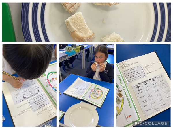 Y4 analysing different types of bread.